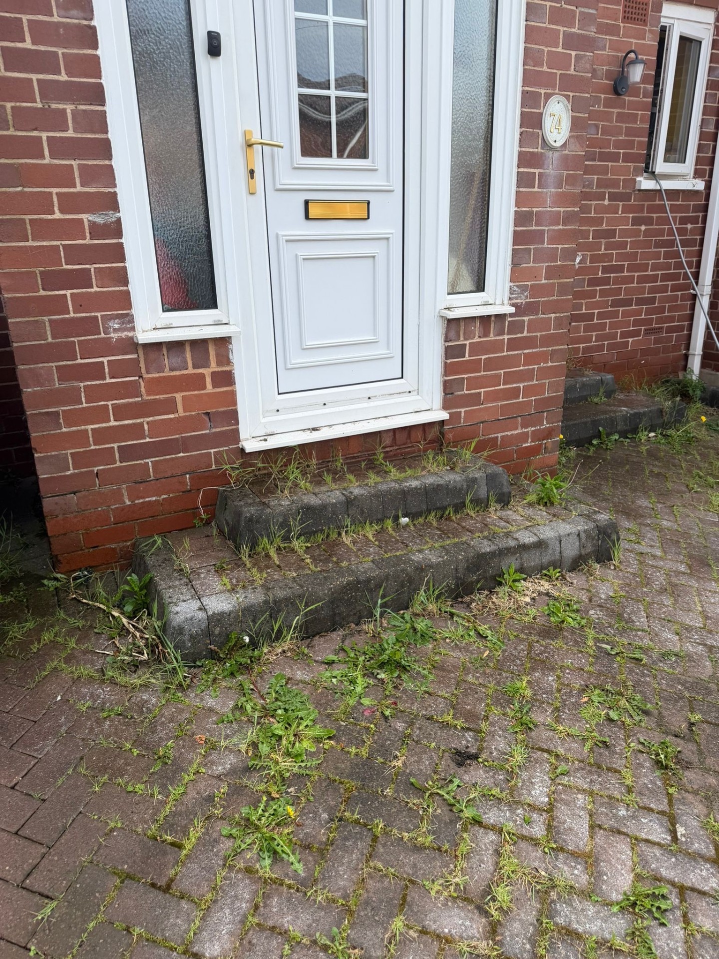 Front steps & driveway before cleaning